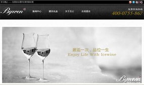 深圳做网站 打造高端网站设计与推广的全流程指南